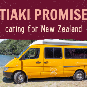 Tiaki Promise NZ