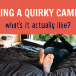 NZ – Header image for blog_twitter