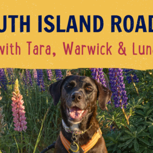 South Island Roadie blog