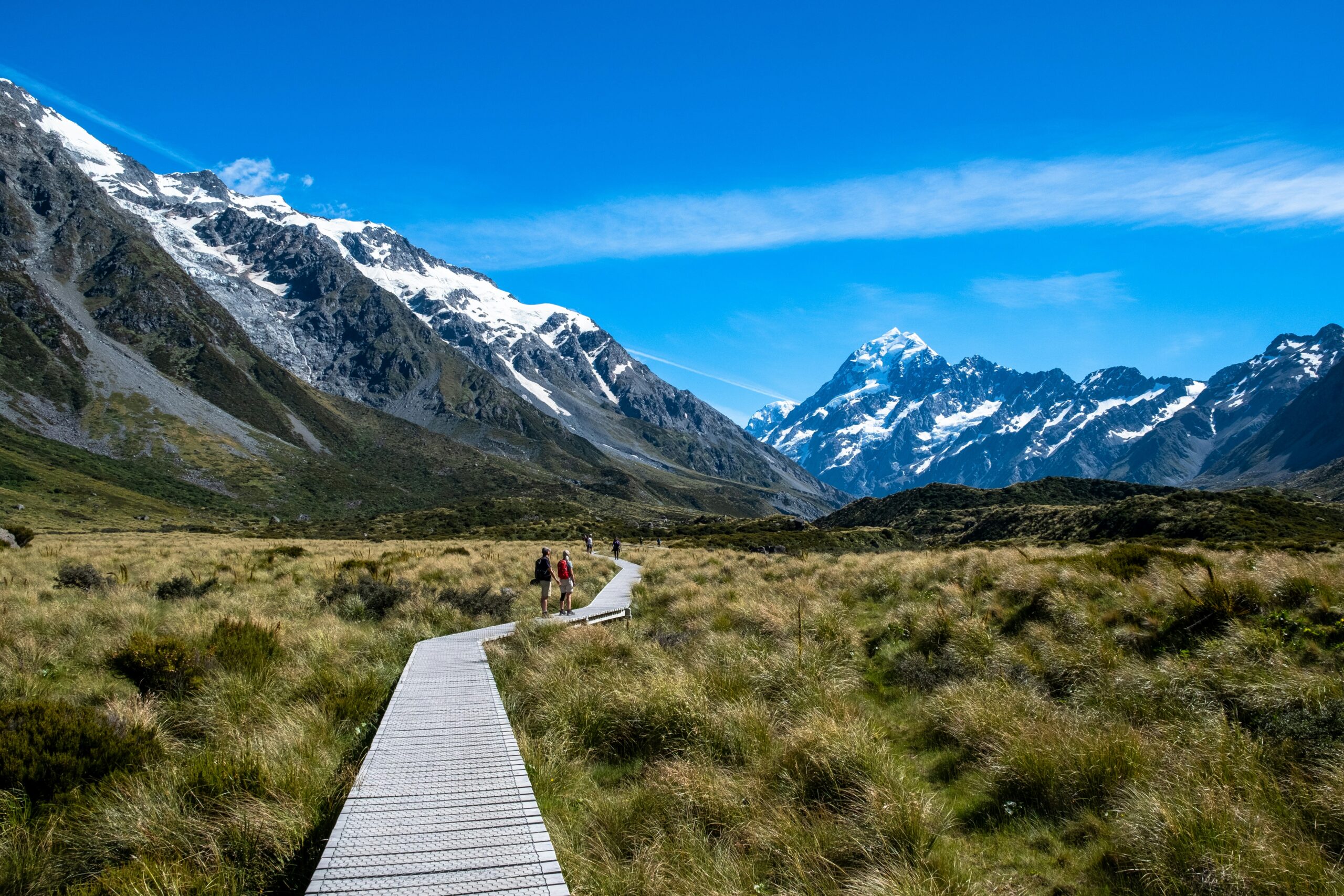 Hikers walking along a wooden boardwalk in New Zealand native bush