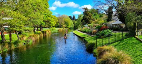 christchurch-nz-petalz_r-xxLMfZ6Wy-0-unsplash