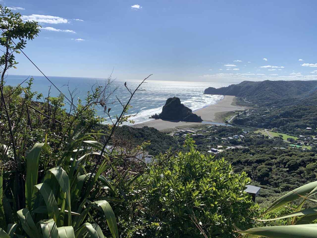 A view of Auckland's Piha beach, looking down over Lion Rock on a sunny day.