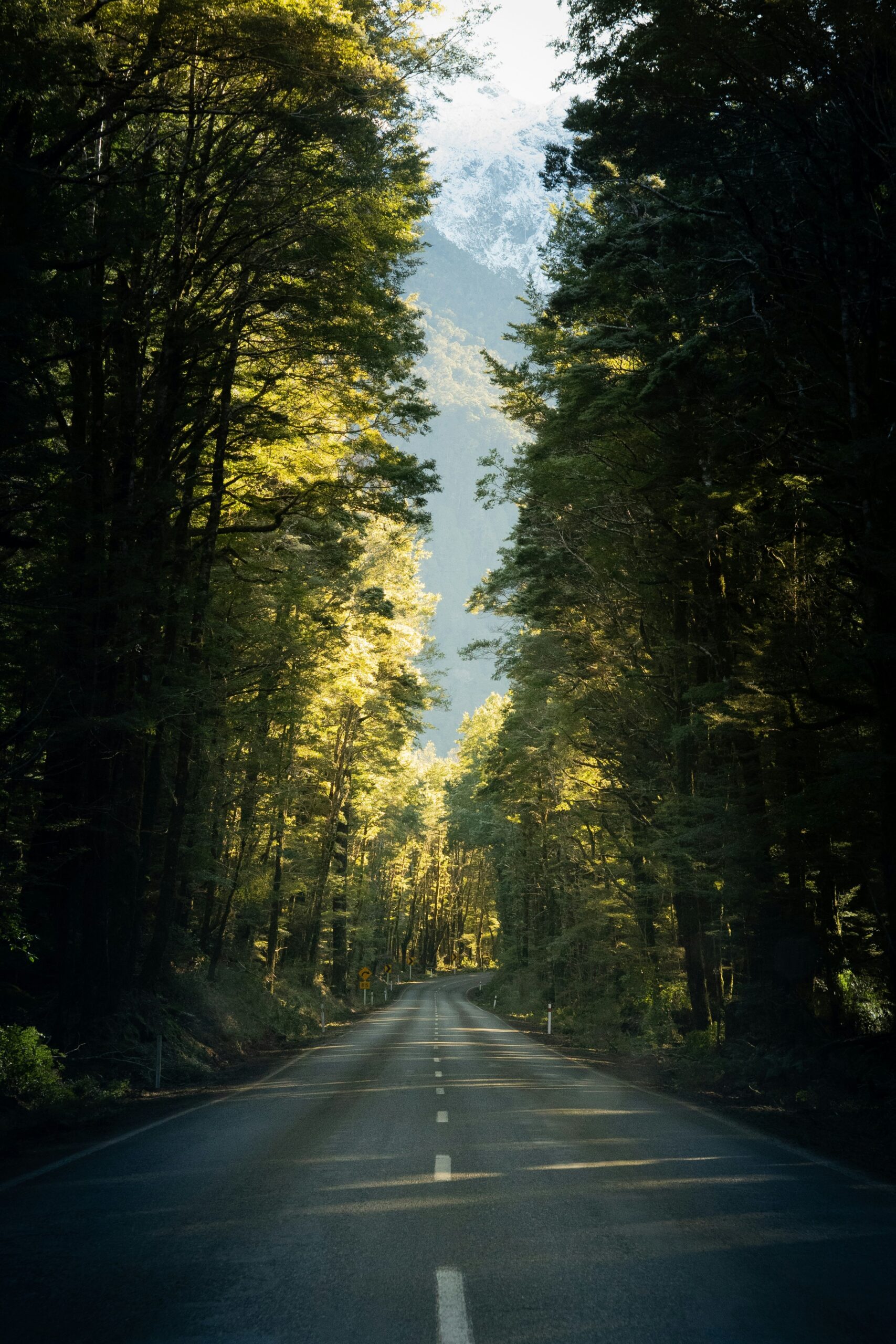Interior view looking out from a campervan at a New Zealand landscape
