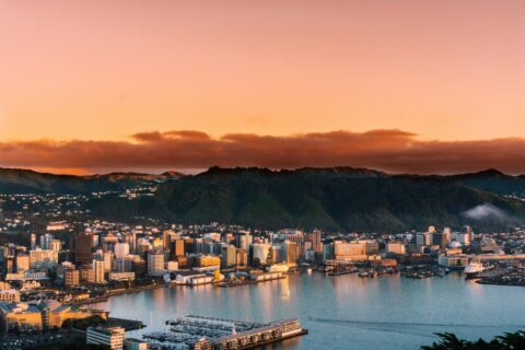 View over Wellington, New Zealand