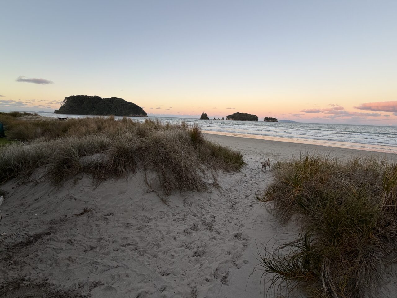 Sunrise at Whangamata beach in the Coromandel, New Zealand