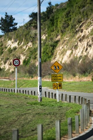 oamaru-nz-casey-horner-9UPpIj7udgY-unsplash