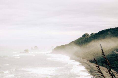 West Coast Beach, NZ