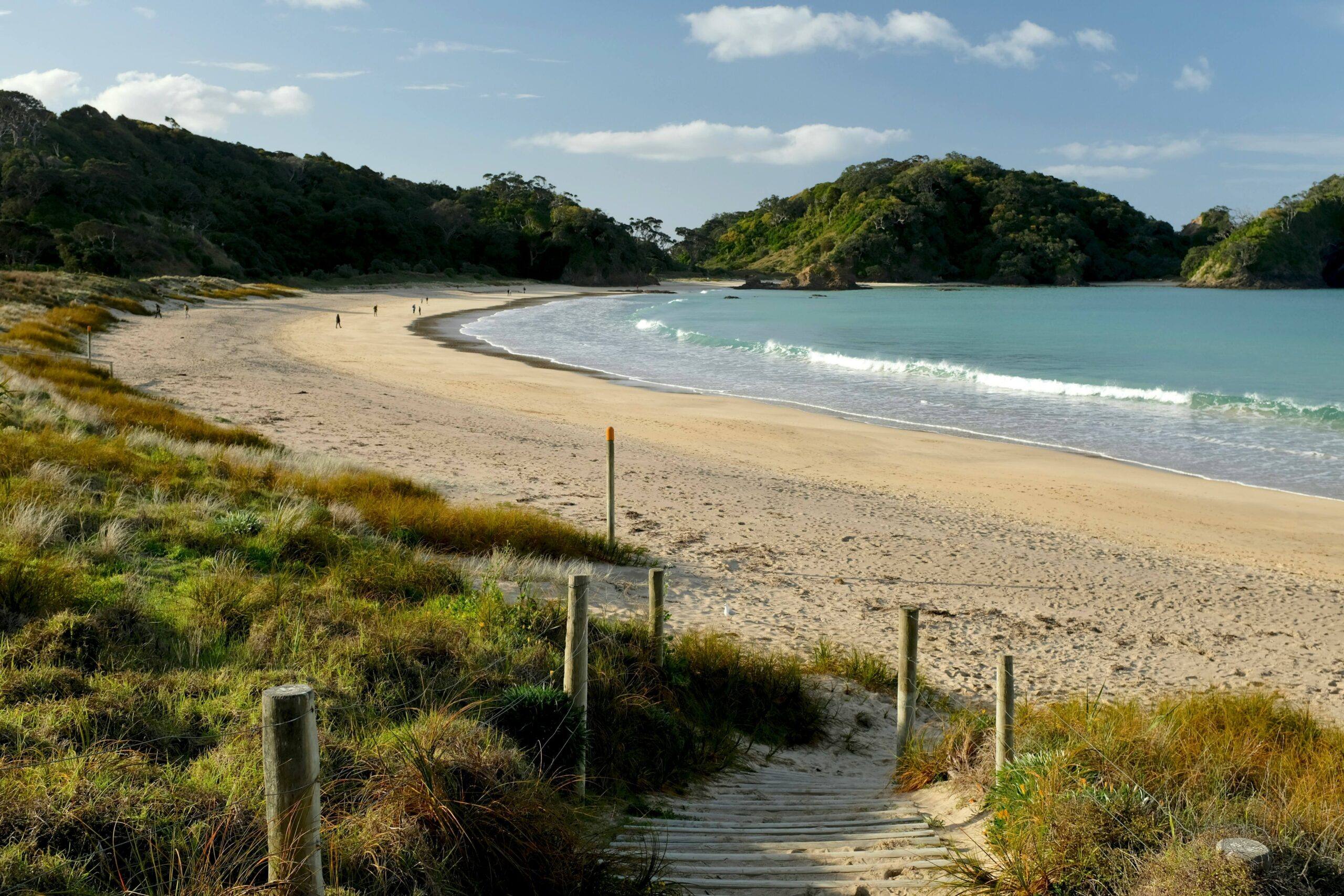 The long white sand curve of Anchor Bay at Tāwharanui Regional Park