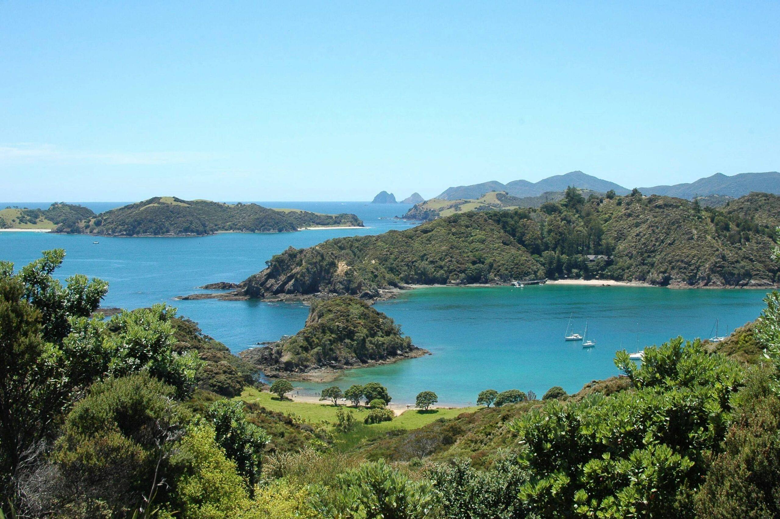 A sheltered bay with clear water and bush-covered headlands in Northland, New Zealand