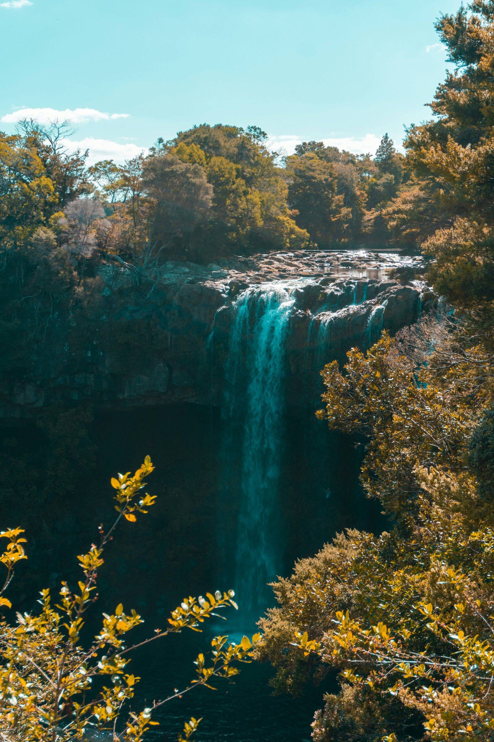 Rainbow Falls near Kerikeri, with water dropping into a pool below