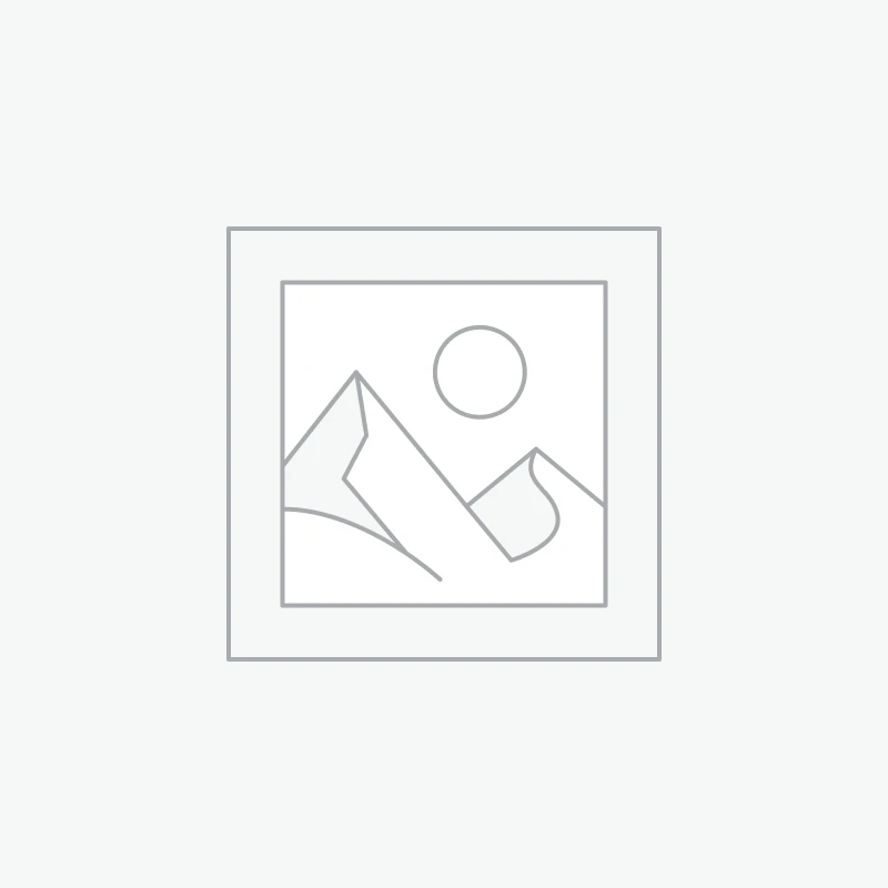 Warmly lit campervan interior with wooden cabinetry, a sink, a stove, and a potted plant by the window. Text on an overlay reads, "Quirky Campers. Campervan Hire Gift Vouchers Available Now! Give the gift of a room with a thousand views today." Voucher options: £50, £100, £150, £250, £500.