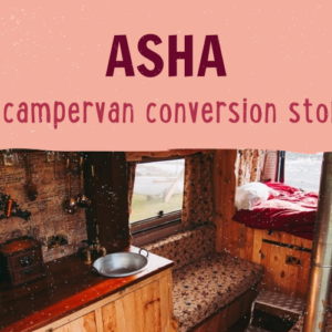 asha