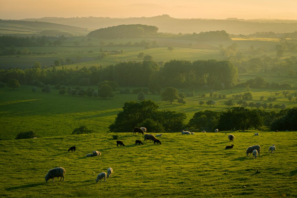 Yorkshire Dales