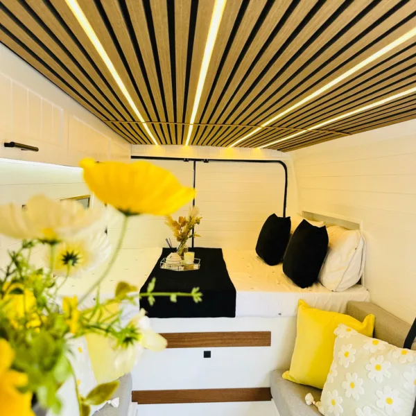 7121c3b1-a769-418e-81ff-b224b5477dce