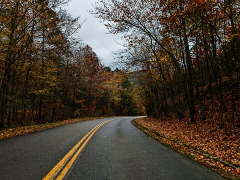 alexander-holmes-OCTMV97N_5A-unsplash