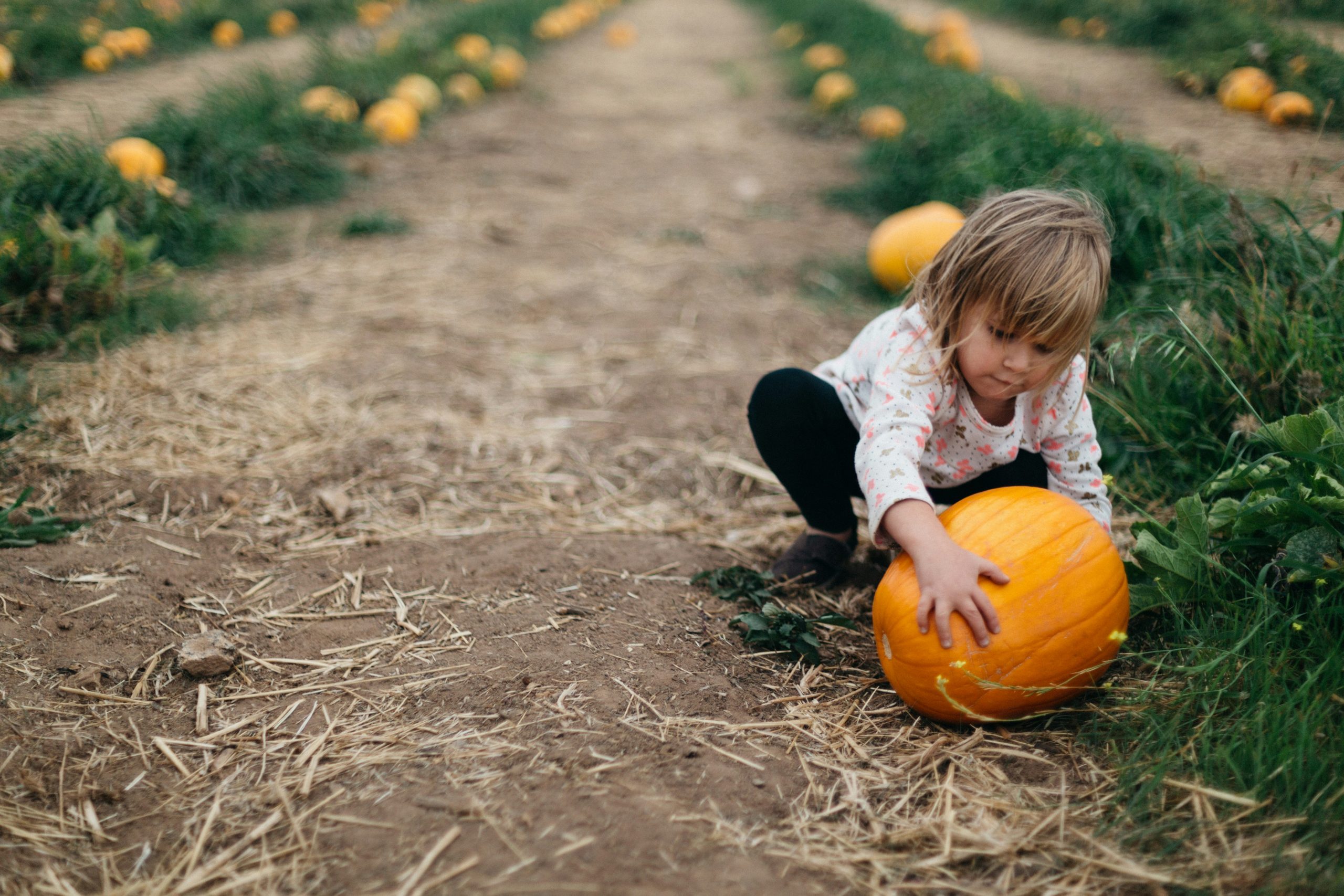 A young child crouches in a pumpkin patch, reaching toward a large orange pumpkin beside a dirt path; the autumn scene feels calm and playful.