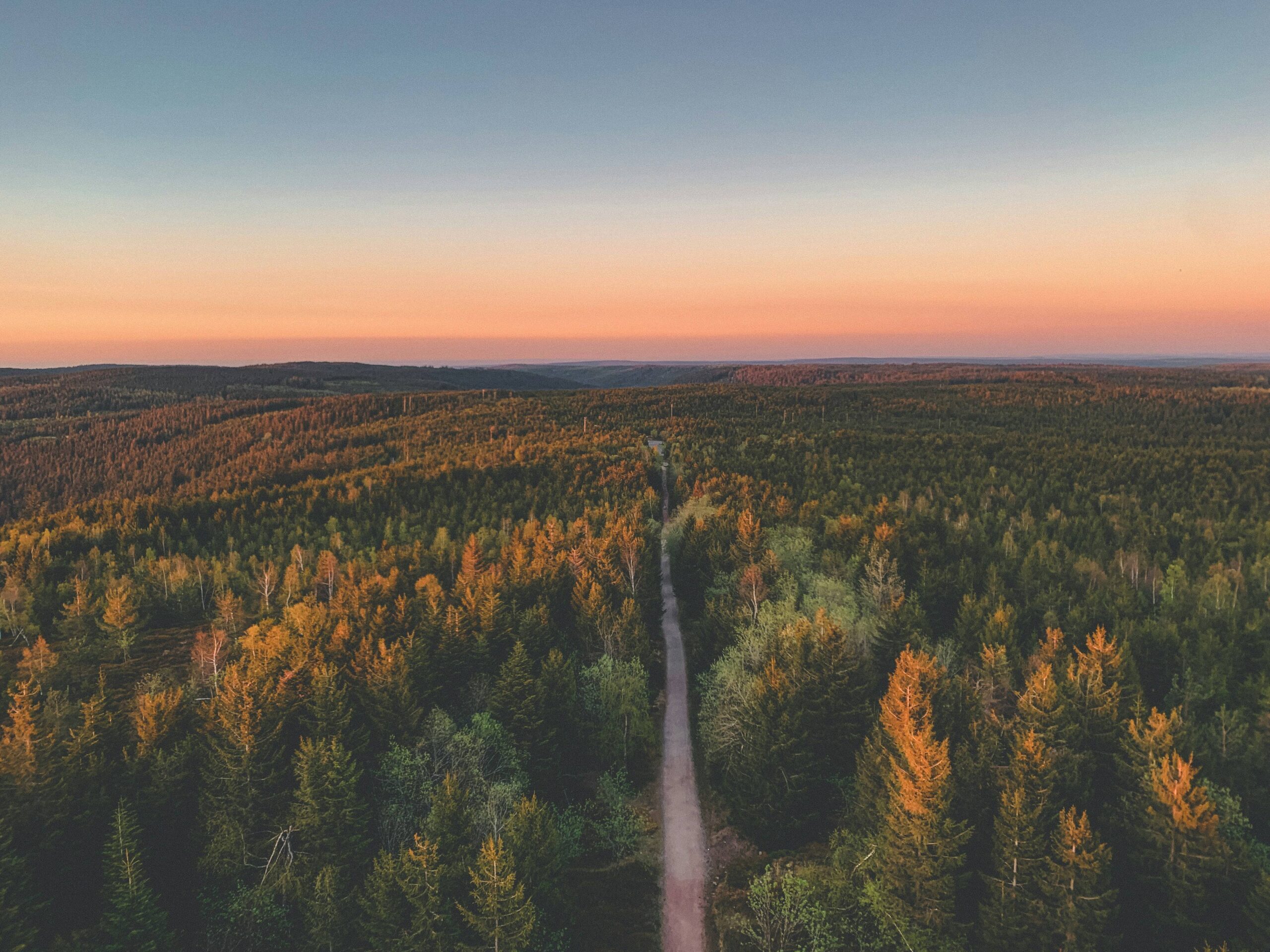 An aerial view of a narrow dirt path cutting through a dense, vast forest of green and orange trees under a soft, gradient sunset sky at twilight.