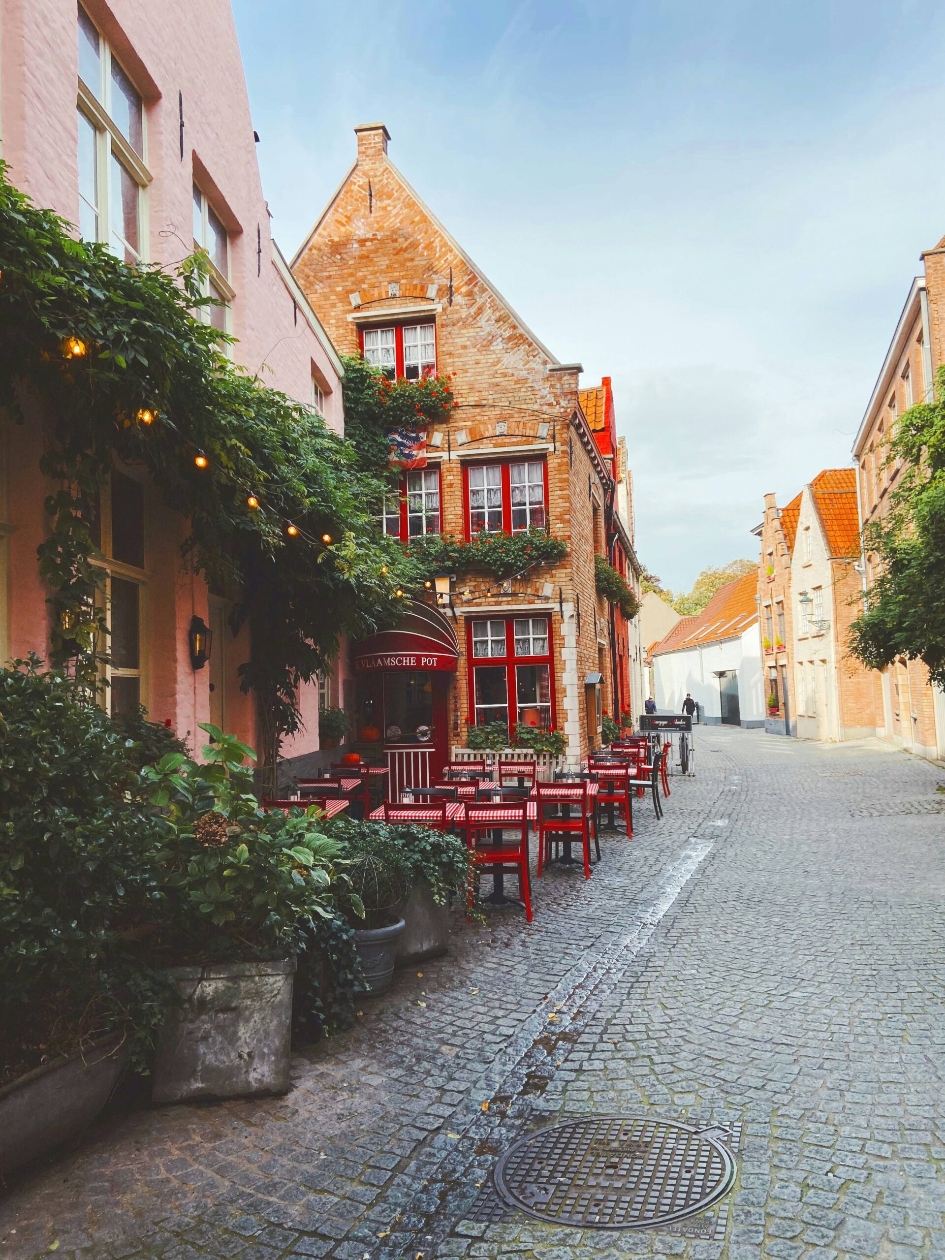 A picturesque cobblestone street in Bruges lined with quaint buildings and greenery, showcasing a charming urban atmosphere.