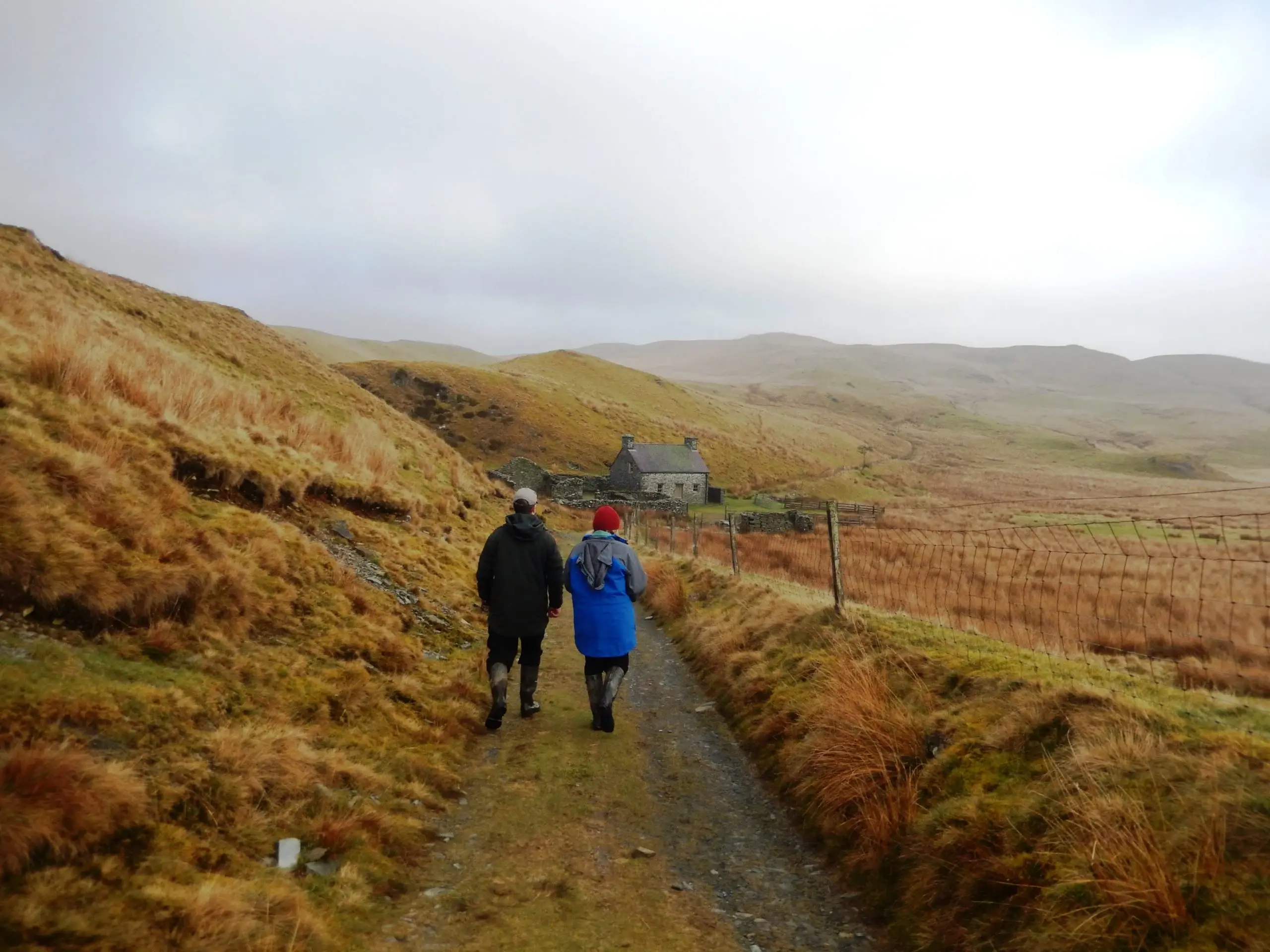 Two individuals stroll along a scenic countryside path surrounded by greenery and open fields.