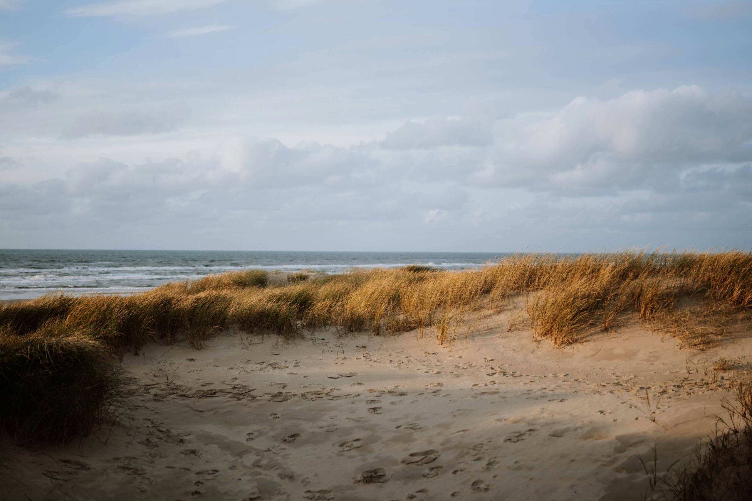 View of West Wittering beach showing sand, wild grass and ocean in the distance