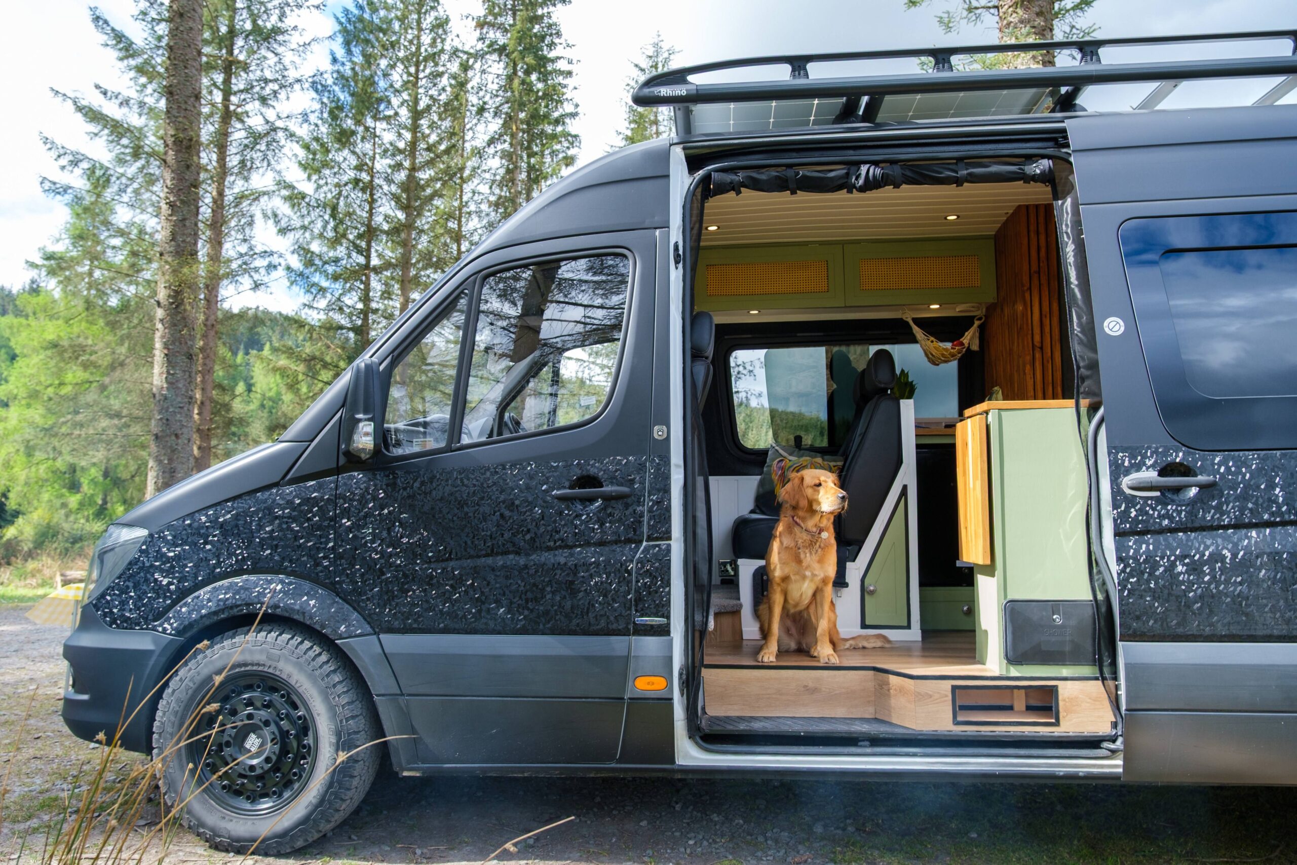 A dog stands in the open door of a camper van, looking out into the surroundings.
